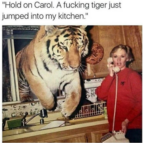 all-around-me-are-familiar-faces